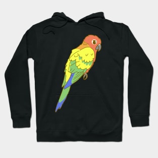 Rainbow Sun Conure Hoodie